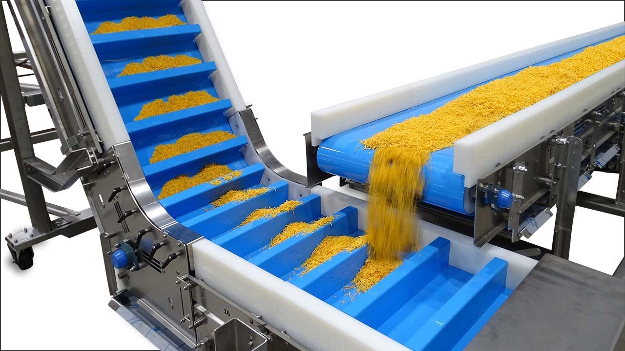 Food Safe Conveyor Belts 1