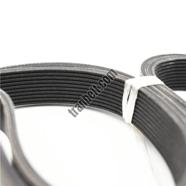 Mitsuboshi V-Ribbed Belts L | Manufacturer | Supplier | Distributor