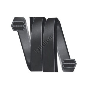 TranBelt AA Double V Belt 13x10 mm