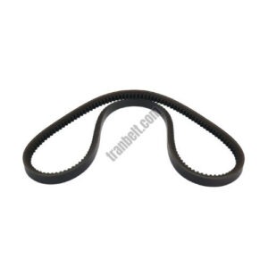 TranBelt BX V Belt 17x11 mm 1