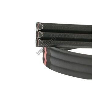 TranBelt SPA Banded V Belt 1