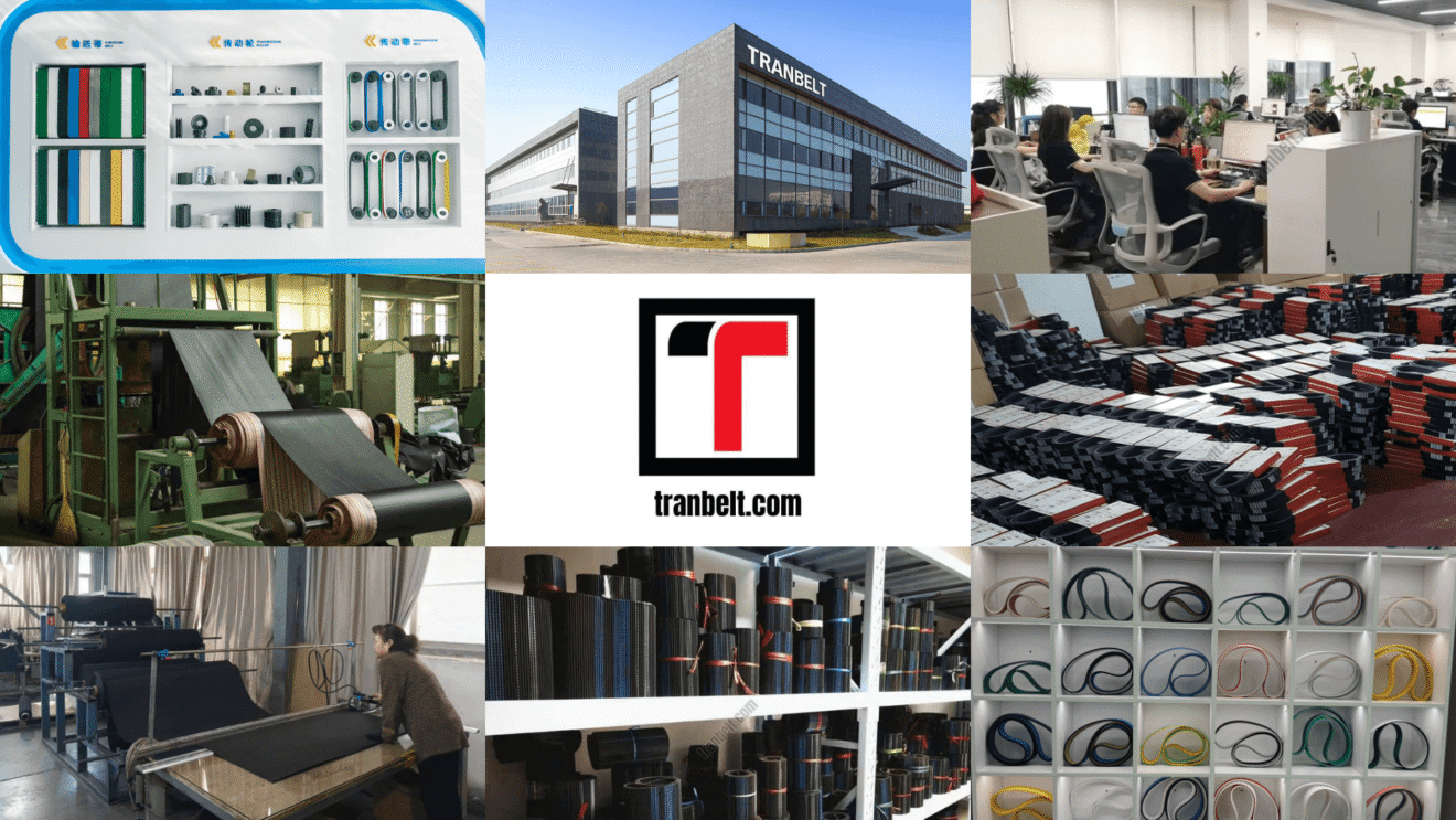 TranBelt Transmission Belts