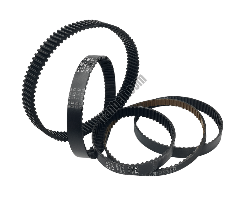 Rubber Timing Belt 800×800