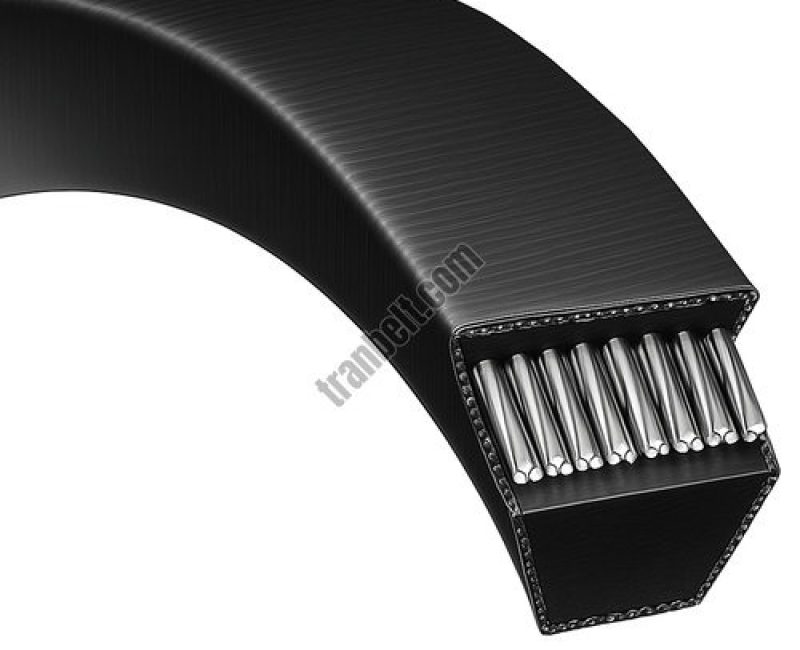 Correa AV TranBelt 13x8 mm 1