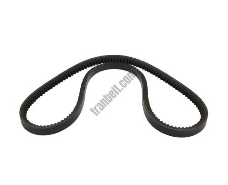 TranBelt AX V Belt 13x8 mm 1